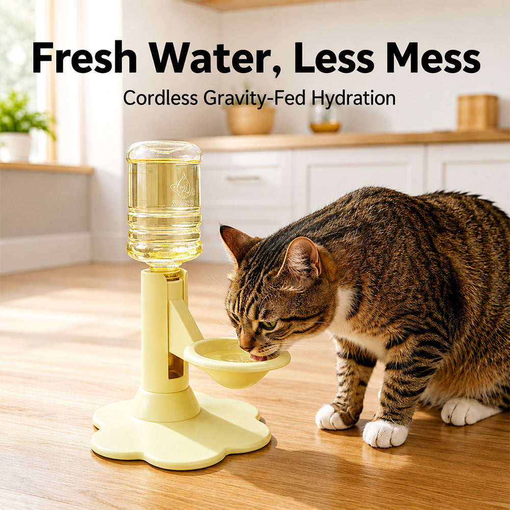 Gravity Cat Water Dispenser – Raised Anti-Spill Bowl
