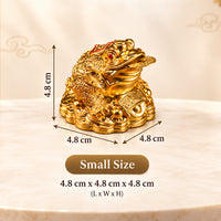 Small Size