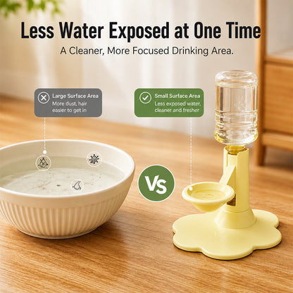 Gravity Cat Water Dispenser – Raised Anti-Spill Bowl