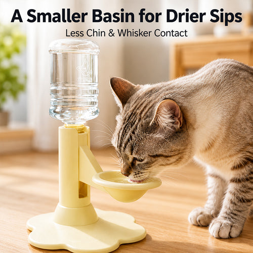 Gravity Cat Water Dispenser – Raised Anti-Spill Bowl