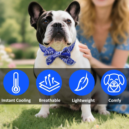 Summer Pet Cooling Collar Wrap