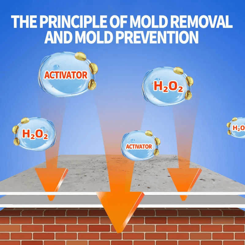 🧼 Fast Acting Anti-Mold Wall Cleaner Spray